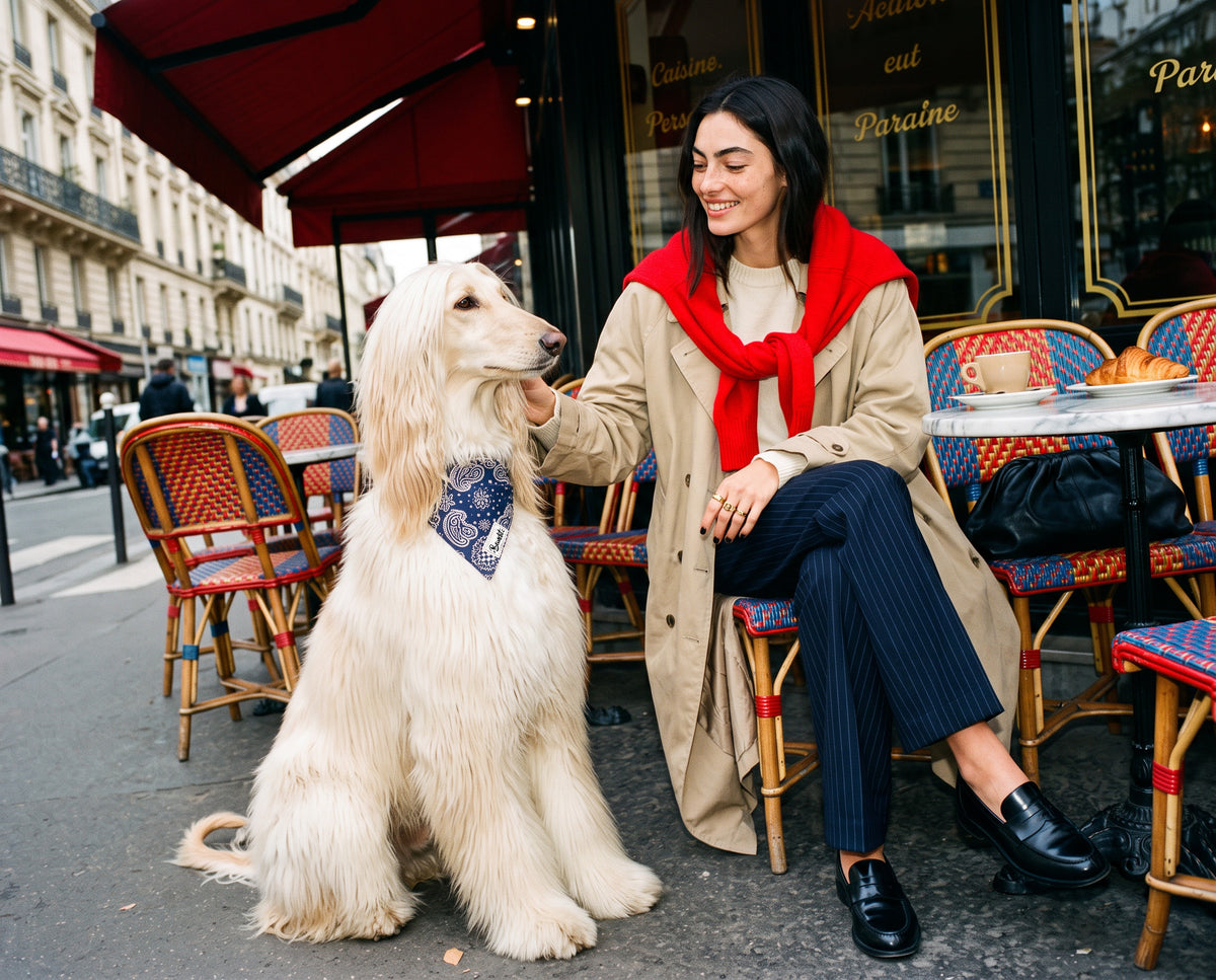Bandana pour chien motif Minuit (paisley bleu marine) French Bandit porté par un lévrier afghan à Paris