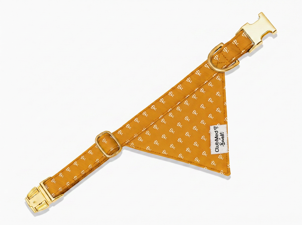 Bandana pour chien Club Med x Bandit