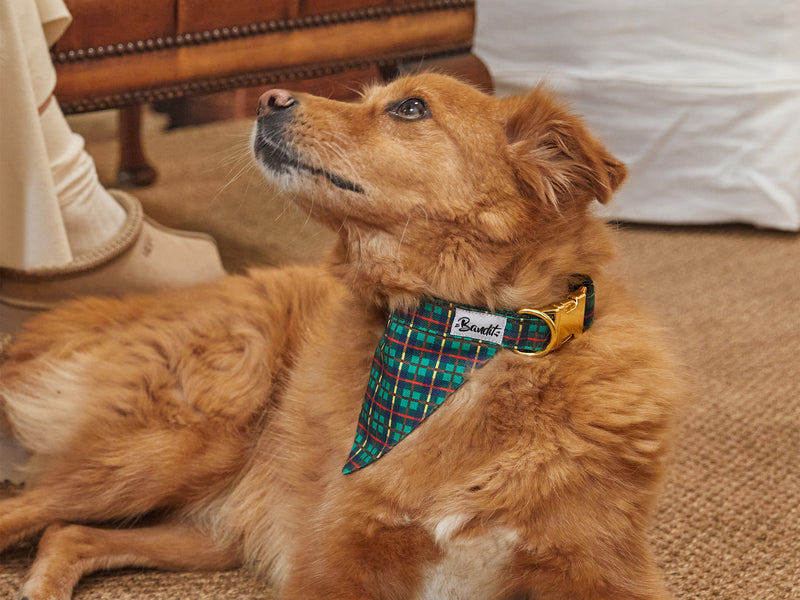 TARTAN VERT