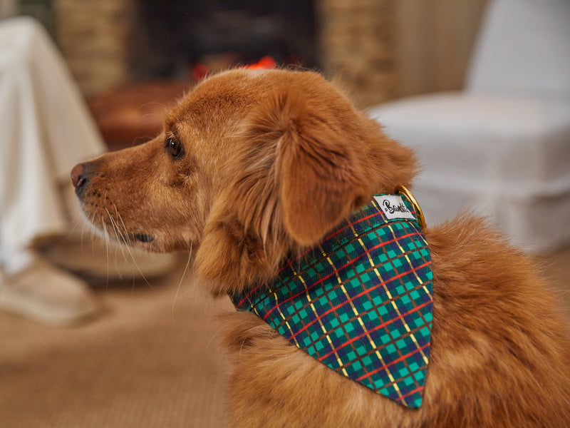 TARTAN VERT