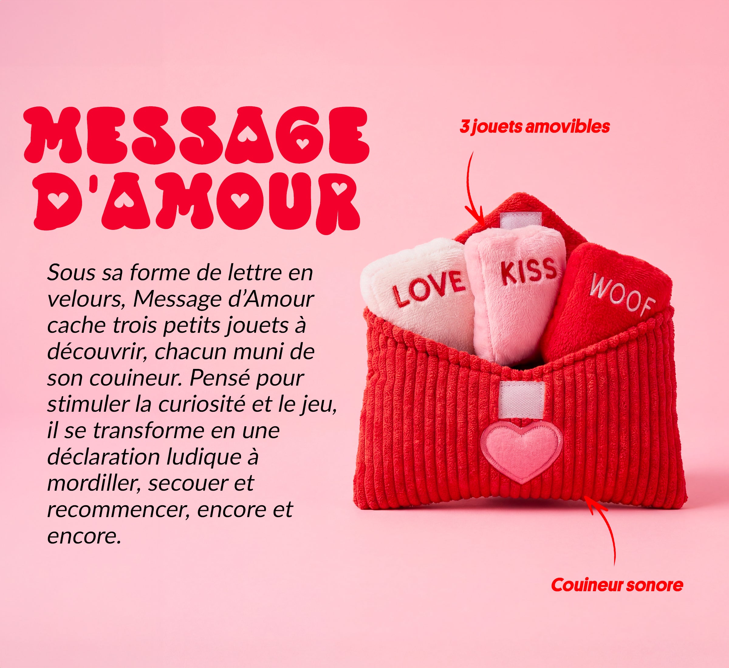 Box jouet pour chien – 2 jouets exclusifs + friandises