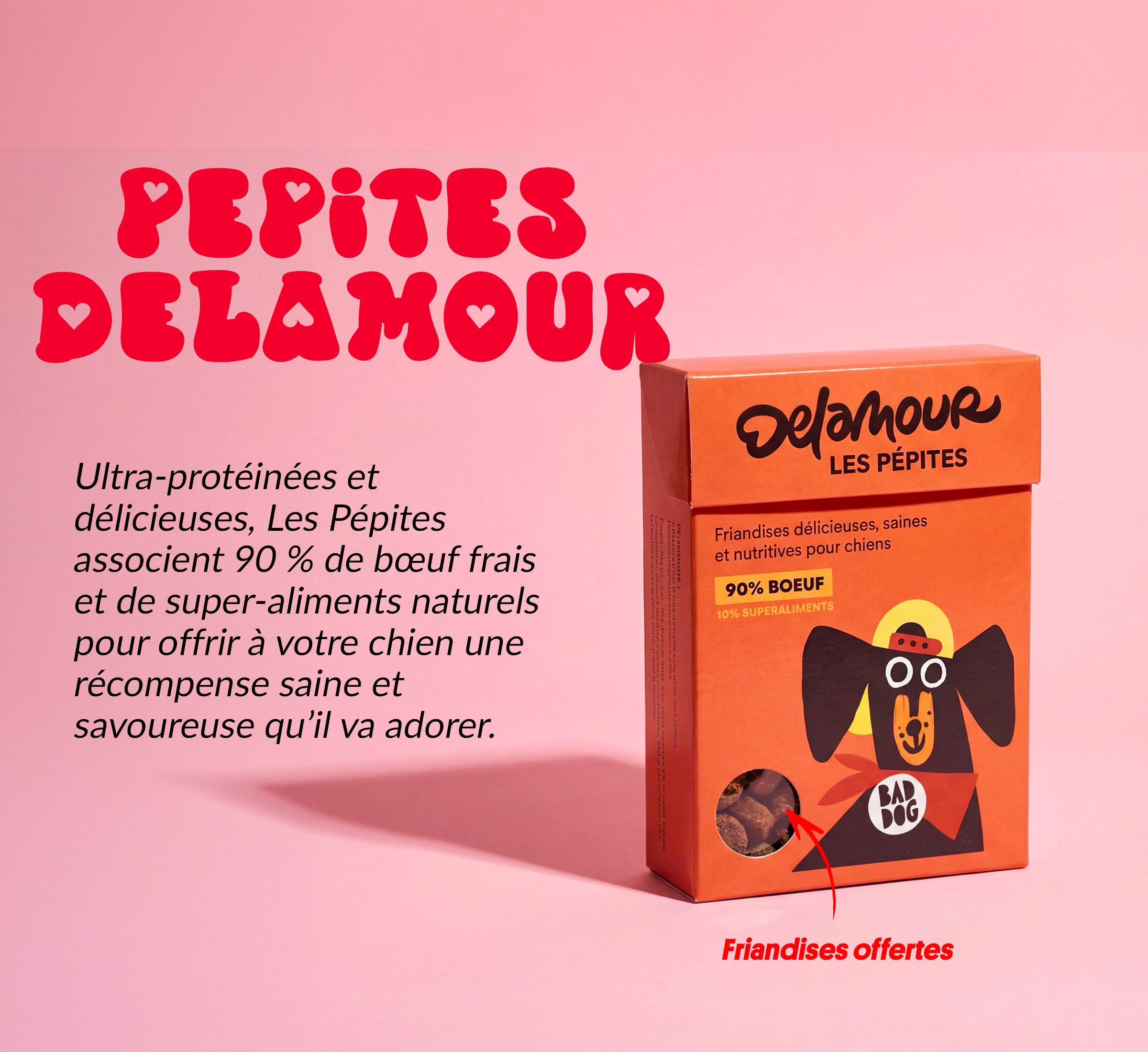 Box jouet pour chien – 2 jouets exclusifs + friandises