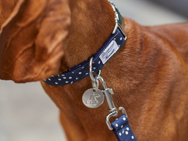 BONPOINT ♡ BANDIT - Bleu