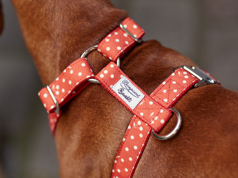 BONPOINT ♡ BANDIT - Rouge
