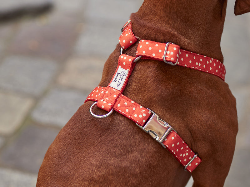 BONPOINT ♡ BANDIT - Rouge