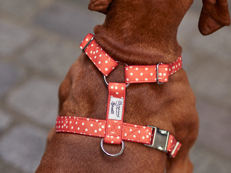 BONPOINT ♡ BANDIT - Rouge