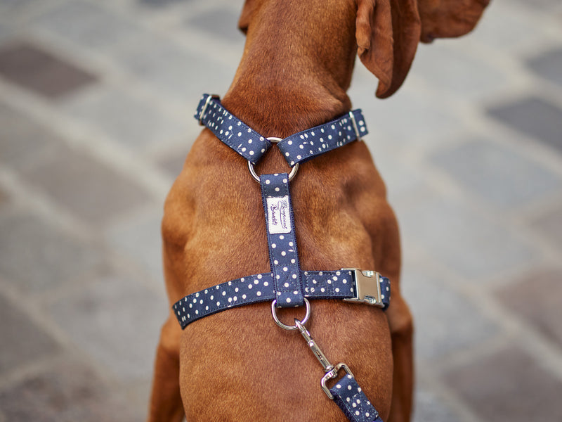 BONPOINT ♡ BANDIT - Bleu