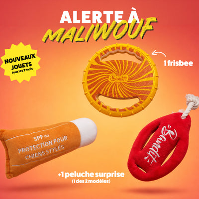 Box jouet pour chien – 2 jouets exclusifs + friandises
