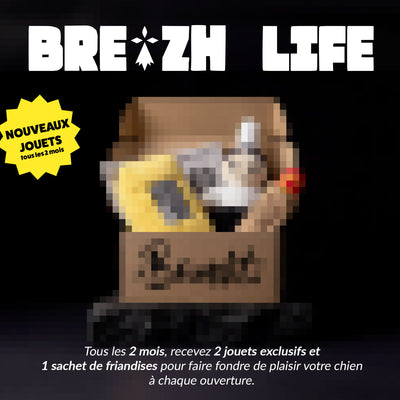 Box jouet pour chien – 2 jouets exclusifs + friandises