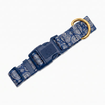 Collier pour chien motif Minuit (paisley bleu marine) Essentiel French Bandit, vue produit sur fond blanc
