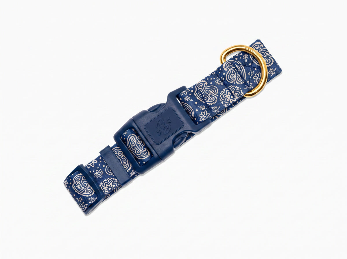 Collier pour chien motif Minuit (paisley bleu marine) Essentiel French Bandit, vue produit sur fond blanc