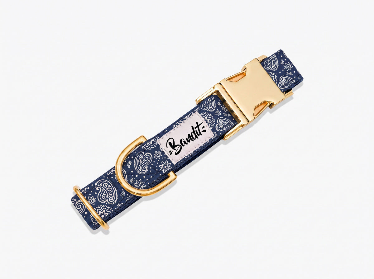 Collier pour chien motif Minuit (paisley bleu marine) French Bandit, vue produit sur fond blanc