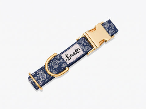 Collier chien motif Minuit