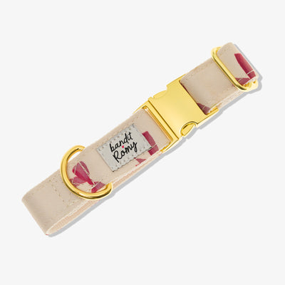Collier chien Bandit x Romy