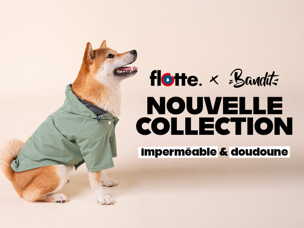 Des accessoires pour chien responsables et faits en France : Bandit Paris •  Emprunte Mon toutou