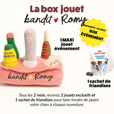Box jouet pour chien – 2 jouets exclusifs + friandises