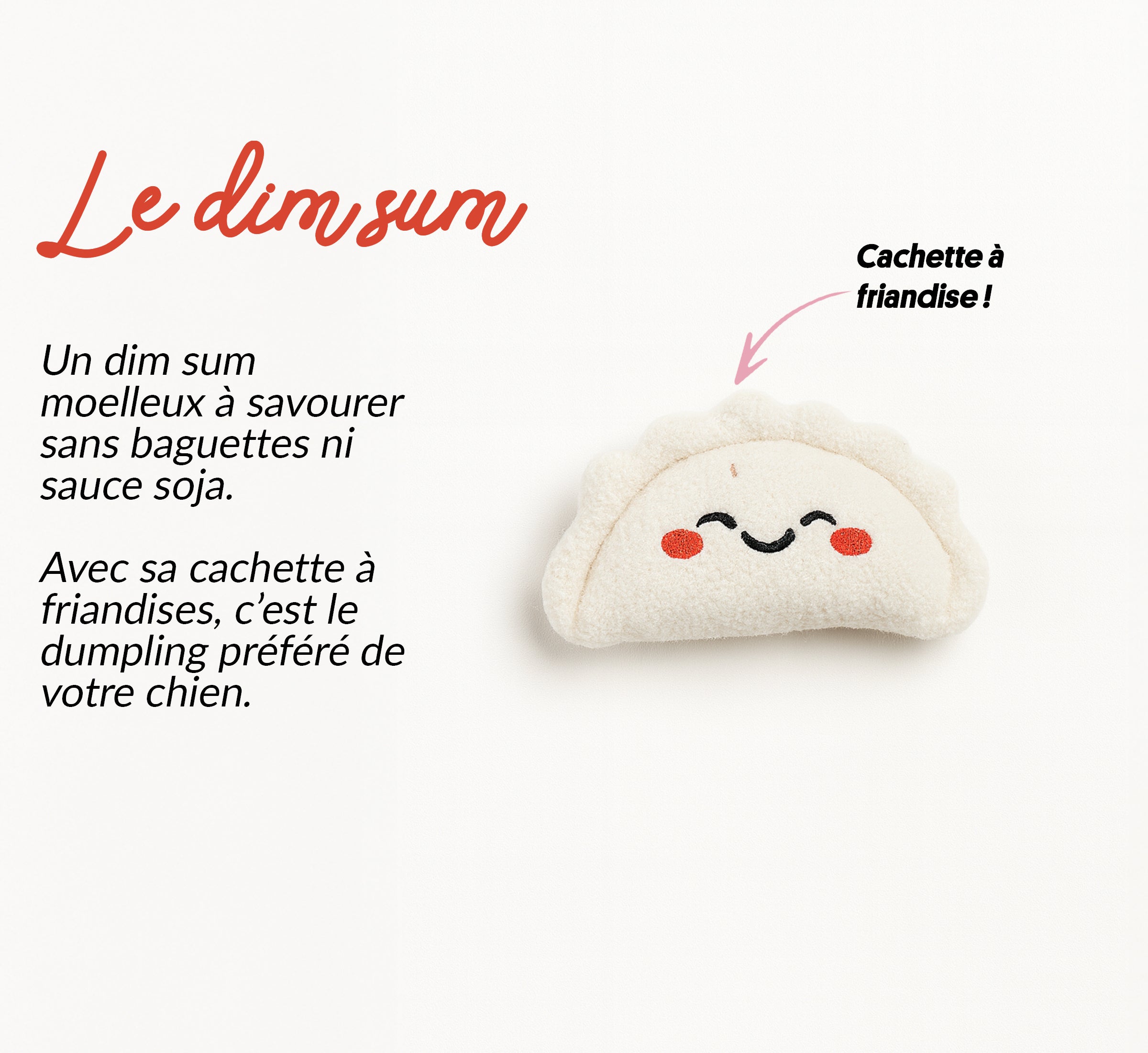 Box jouet pour chien – 2 jouets exclusifs + friandises