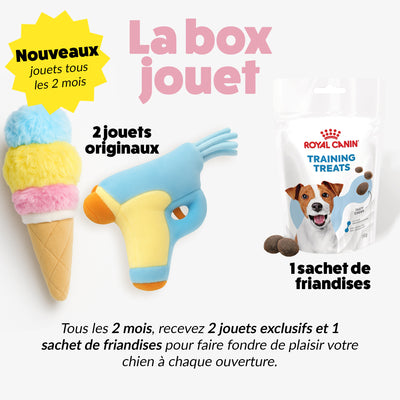 Box jouet pour chien – 2 jouets exclusifs + friandises