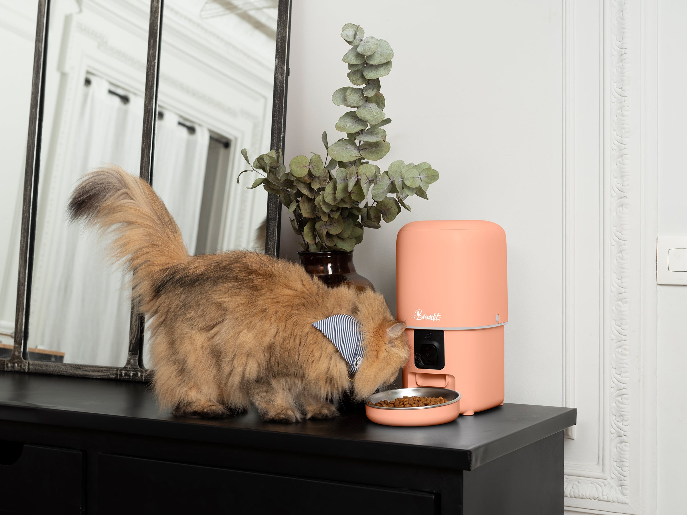 Distributeur de croquettes intelligent