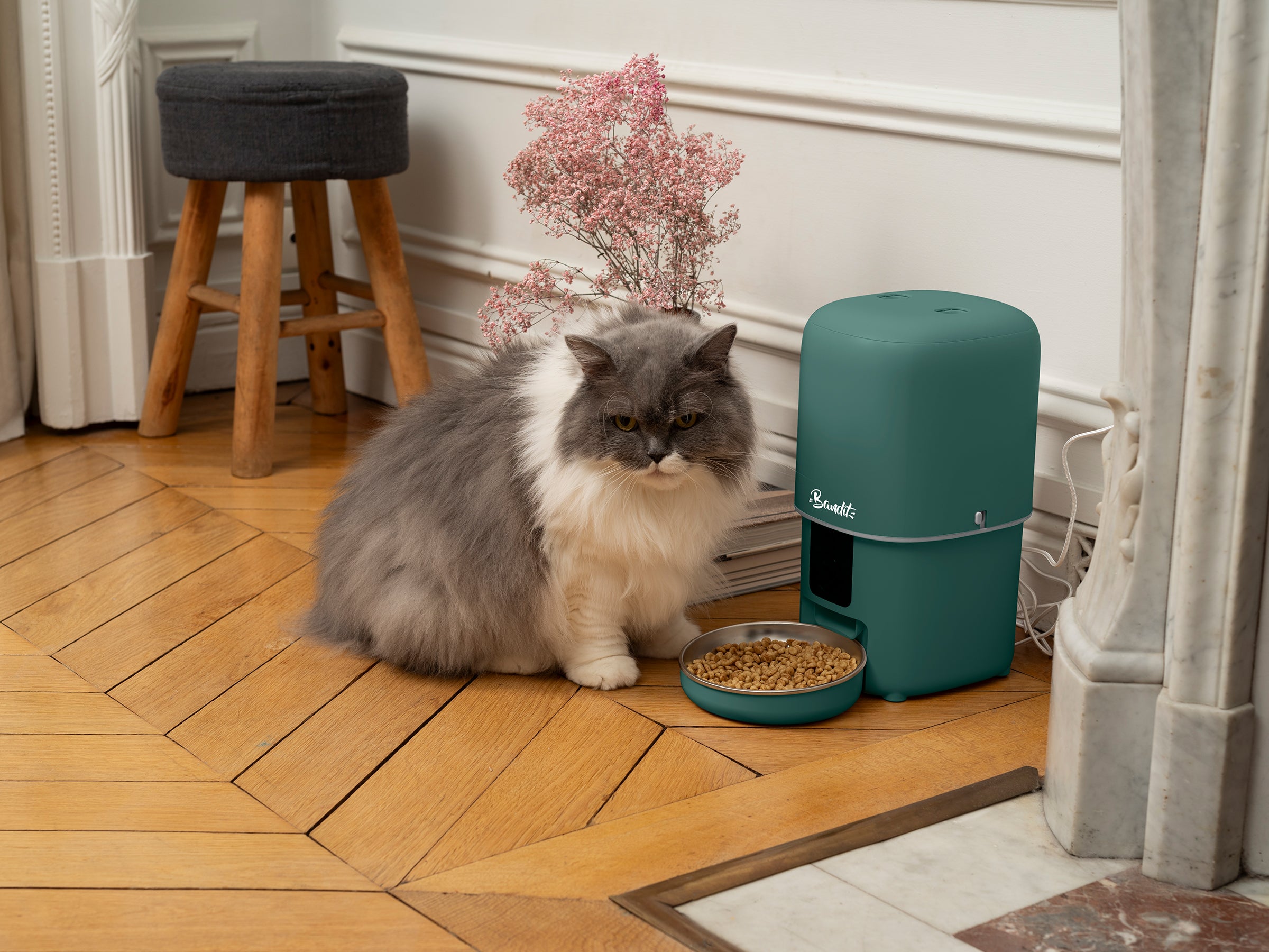 Distributeur de croquettes intelligent