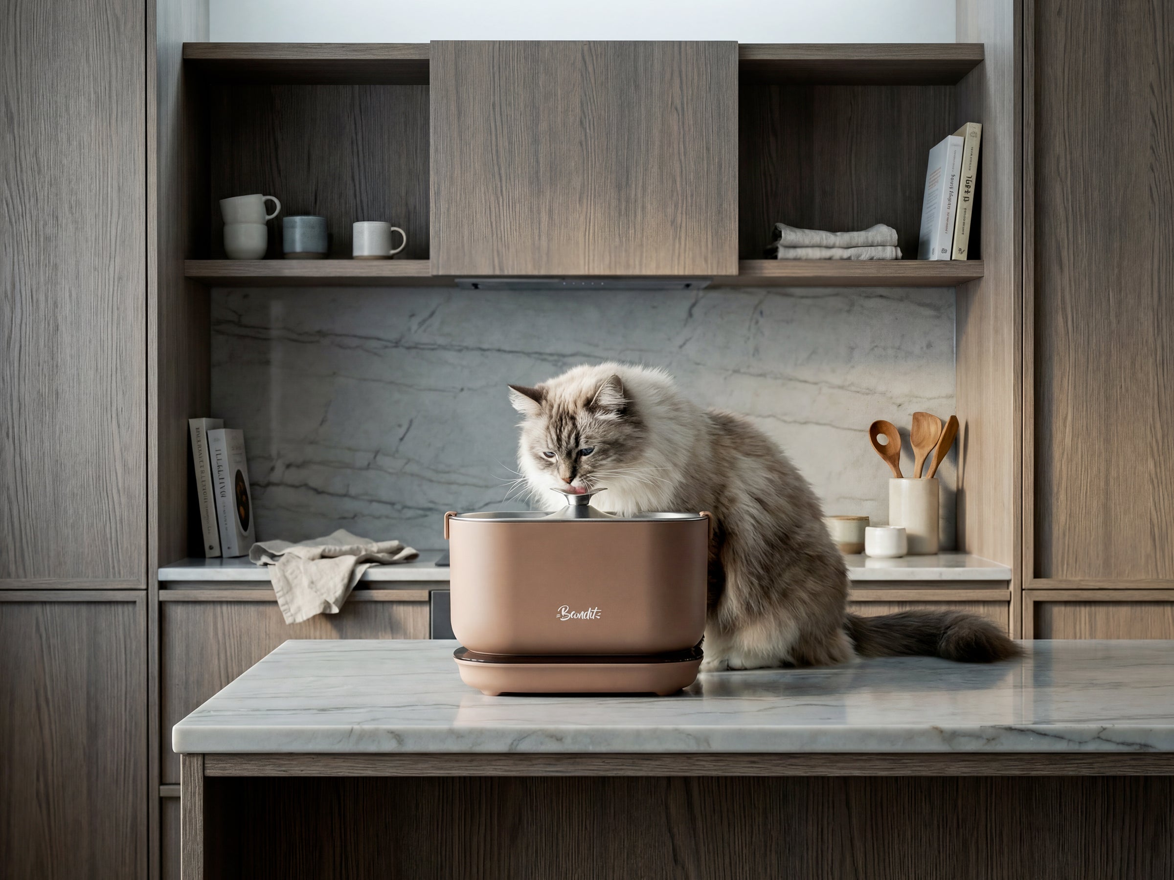 Fontaine à eau sans fil pour chat