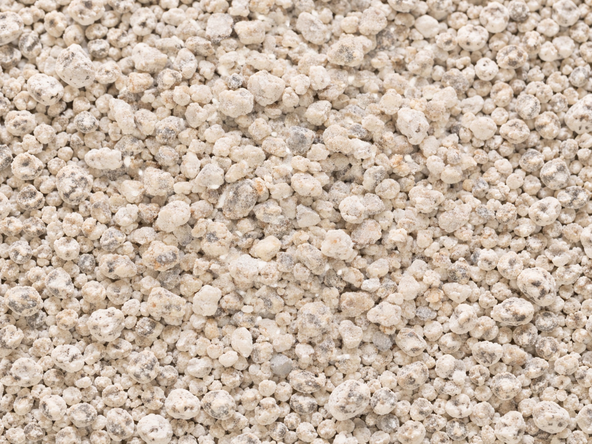 Litière minérale pour tous les chats (x2)