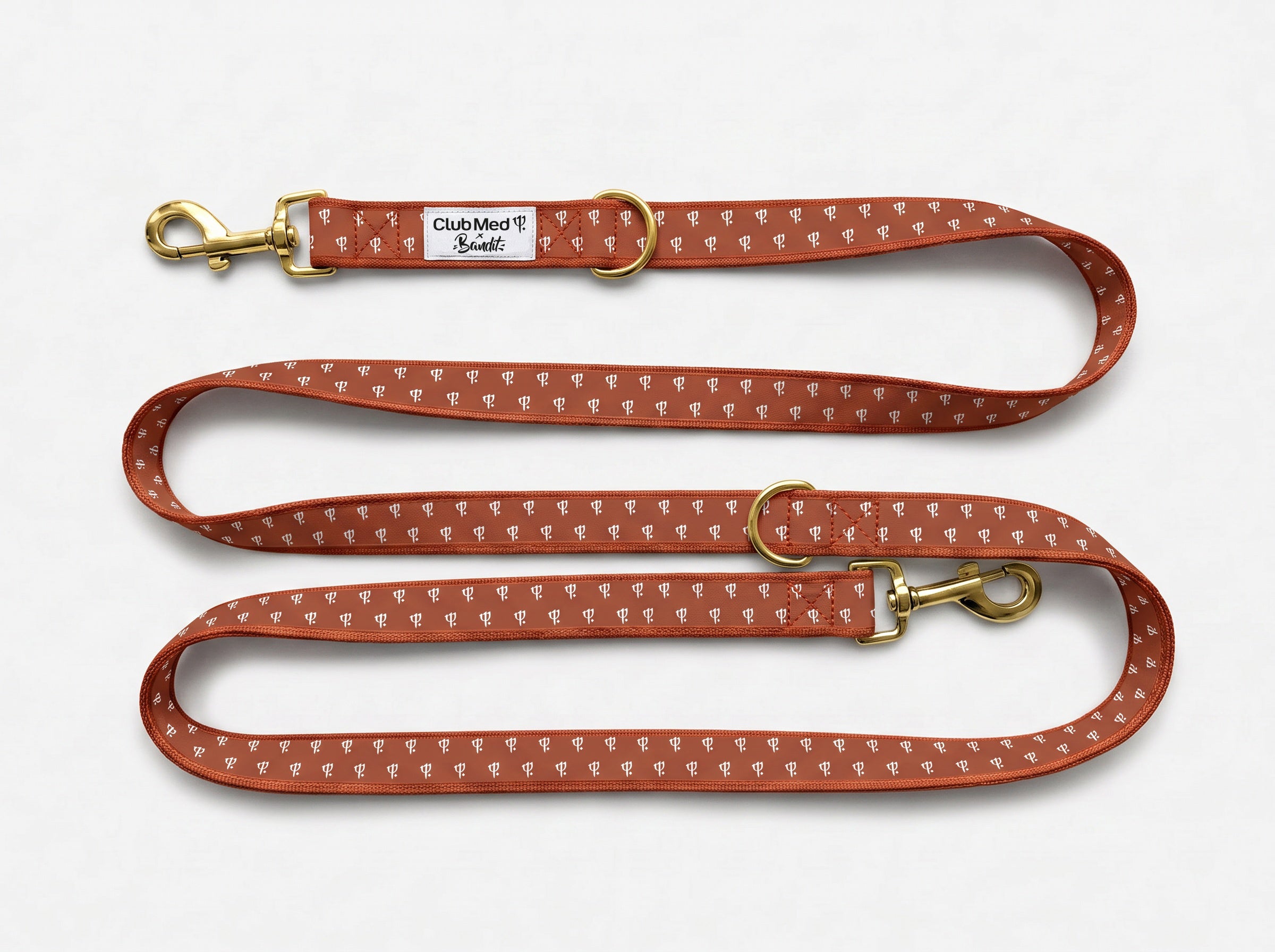 Laisse pour chien Club Med x Bandit