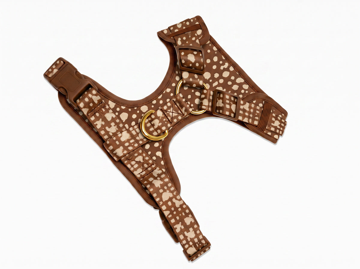 Harnais pour chien motif Faon (pois beige sur fond marron) Essentiel French Bandit, vue produit sur fond blanc