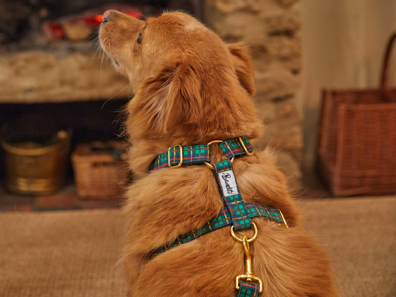 TARTAN VERT
