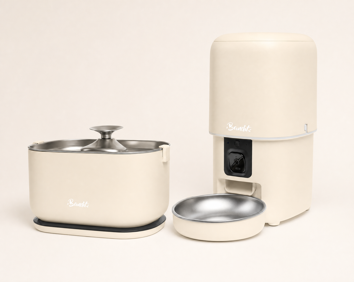 Kit fontaine à eau sans fil + distributeur de croquettes Bandit, coloris crème