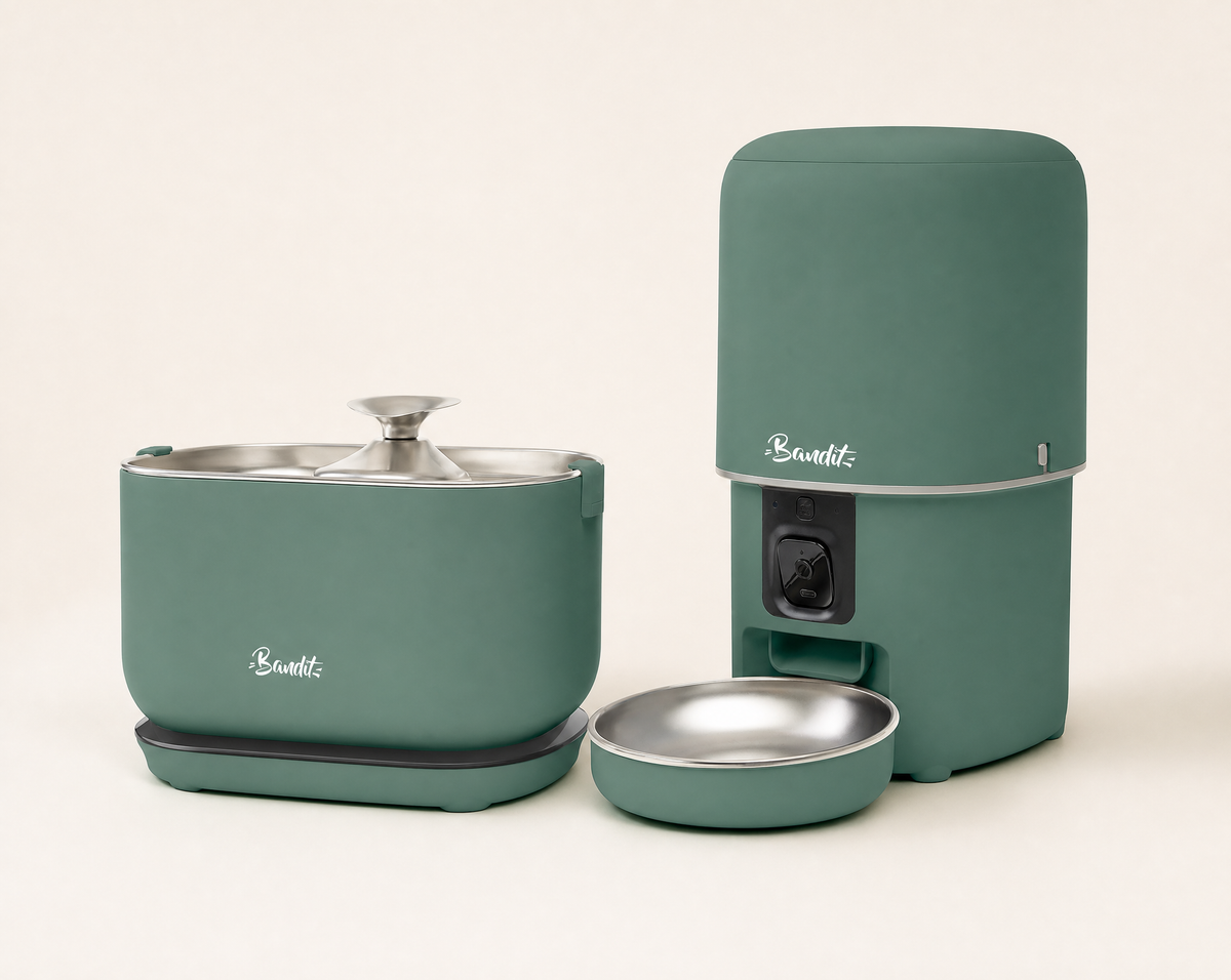 Kit fontaine à eau sans fil + distributeur de croquettes Bandit, coloris vert