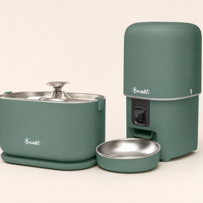 Kit fontaine à eau filaire + distributeur de croquettes Bandit, coloris vert