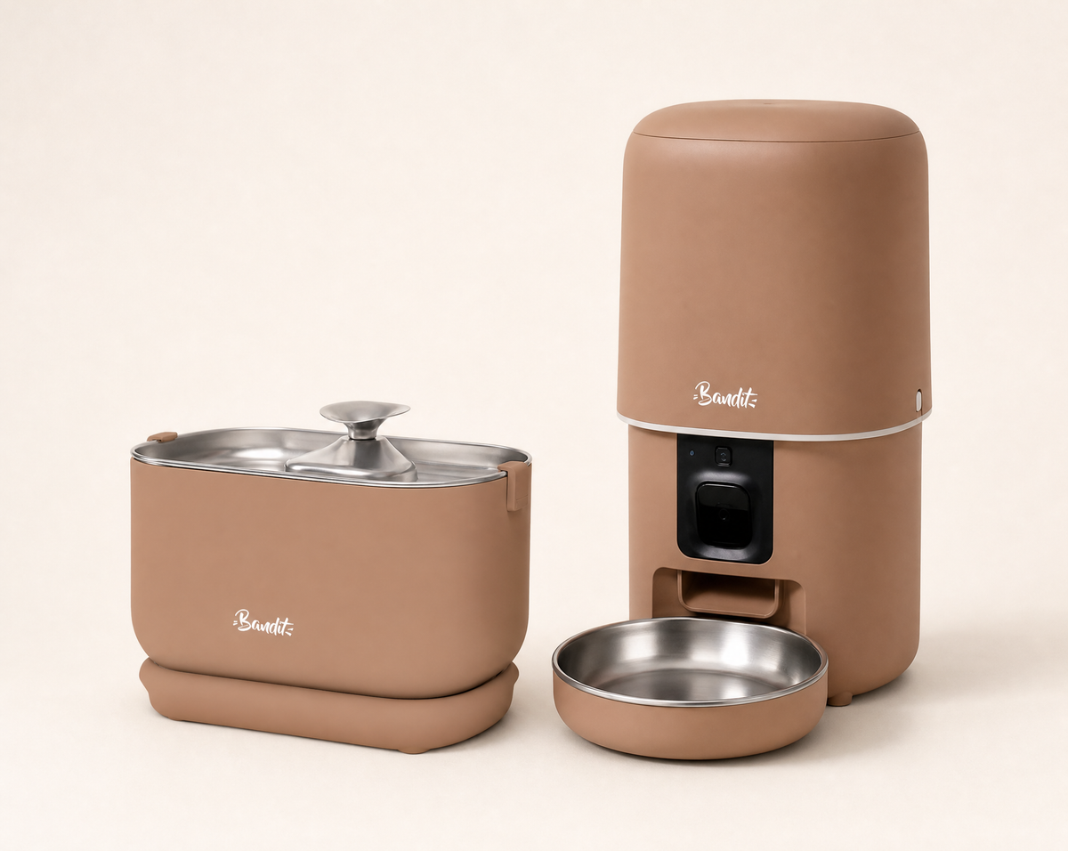 Kit fontaine à eau filaire + distributeur de croquettes Bandit, coloris mocha