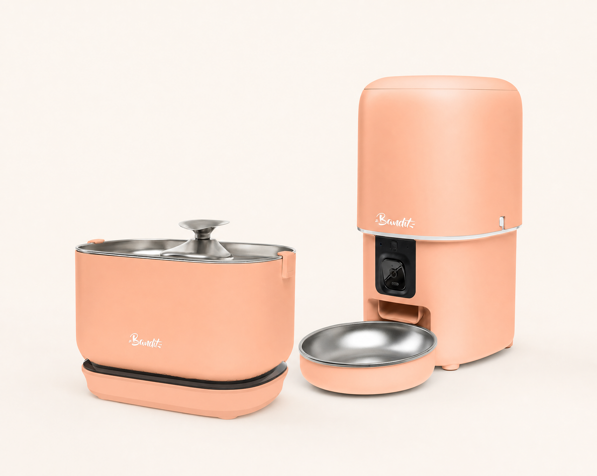 Kit fontaine à eau sans fil + distributeur de croquettes Bandit, coloris pêche
