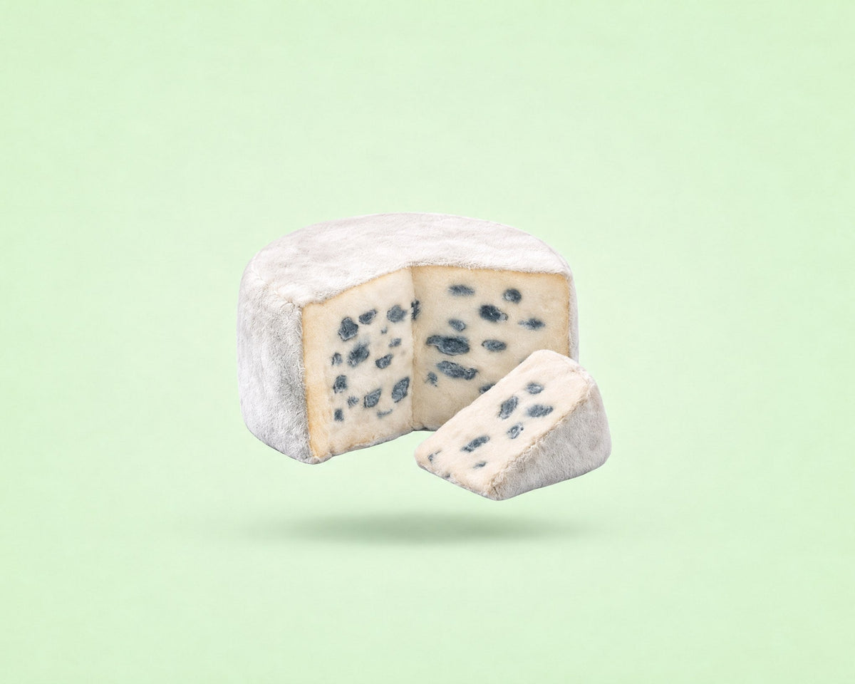 Le Mordu du Bleu, jouet pour chien en peluche en forme de fromage bleu d'Auvergne, packshot French Bandit