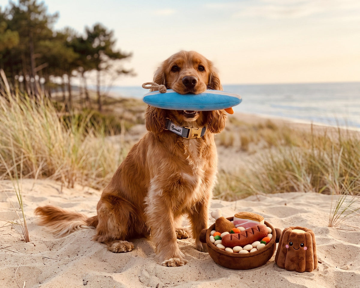 Cocker sur la plage d'Hossegor avec les jouets cassoulet, canelé et surf en peluche French Bandit