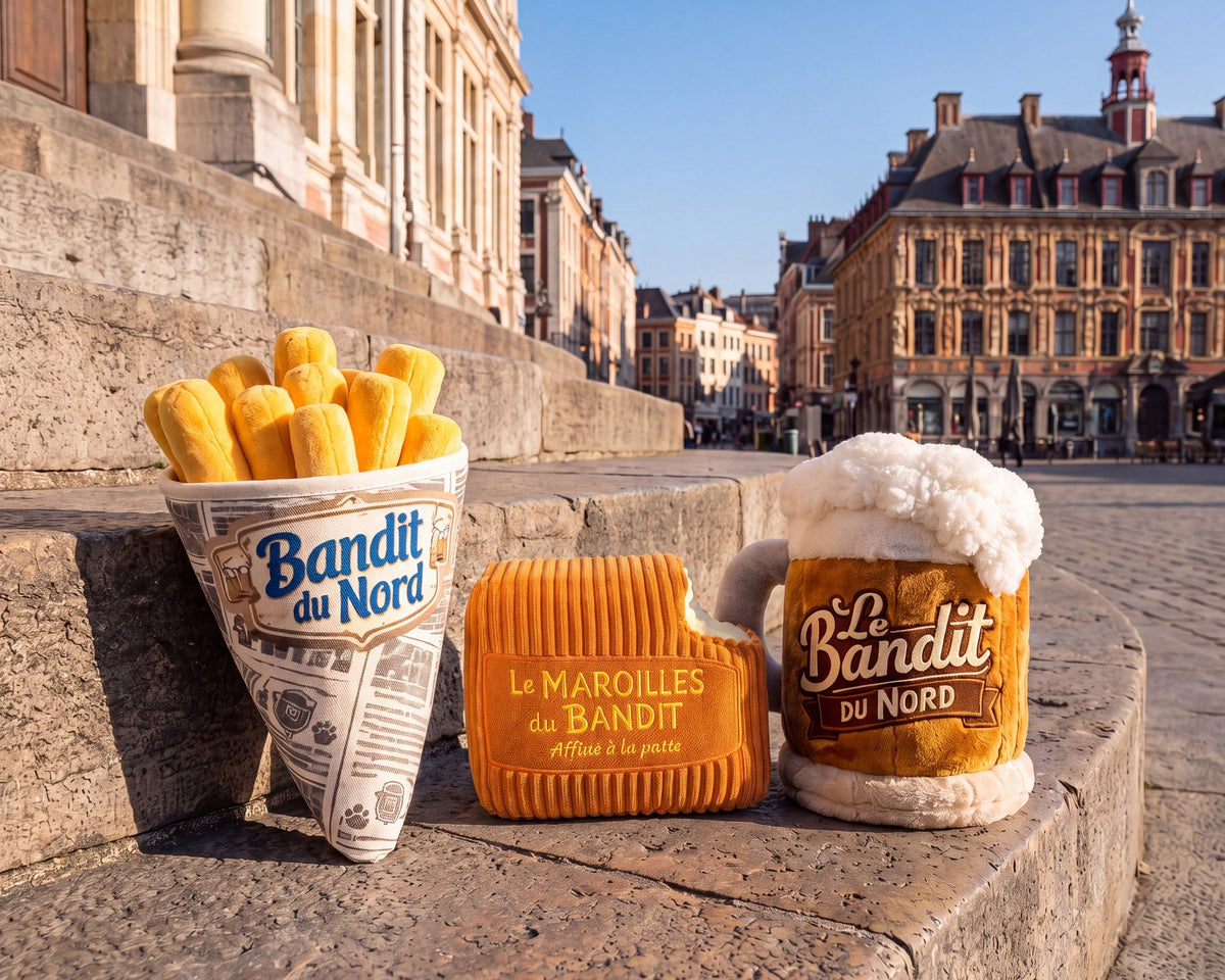 Collection jouets pour chien Nord French Bandit : cornet de frites, maroilles et chope en peluche sur la Grand Place de Lille