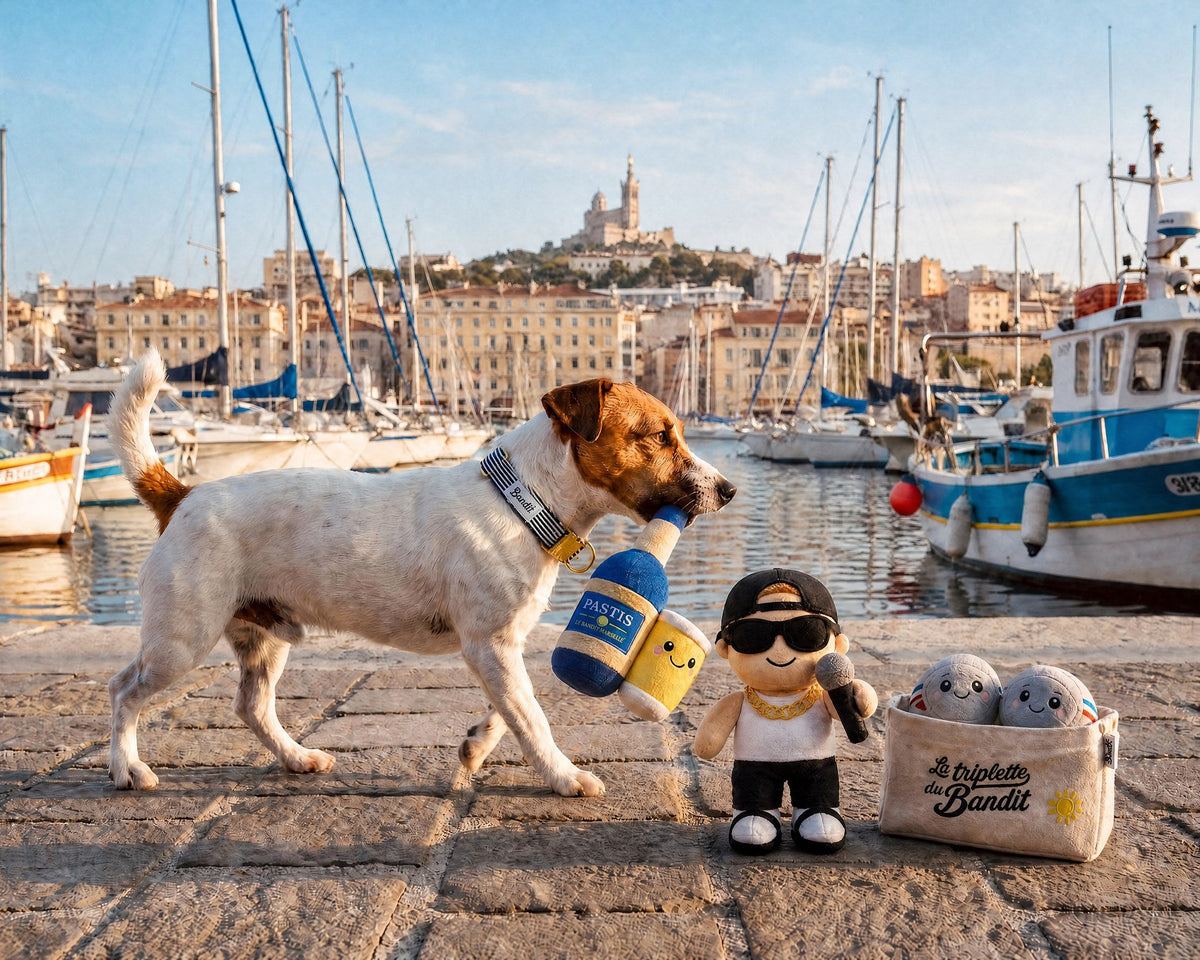 Jack russell tenant le jouet pastis en peluche French Bandit sur le Vieux-Port de Marseille