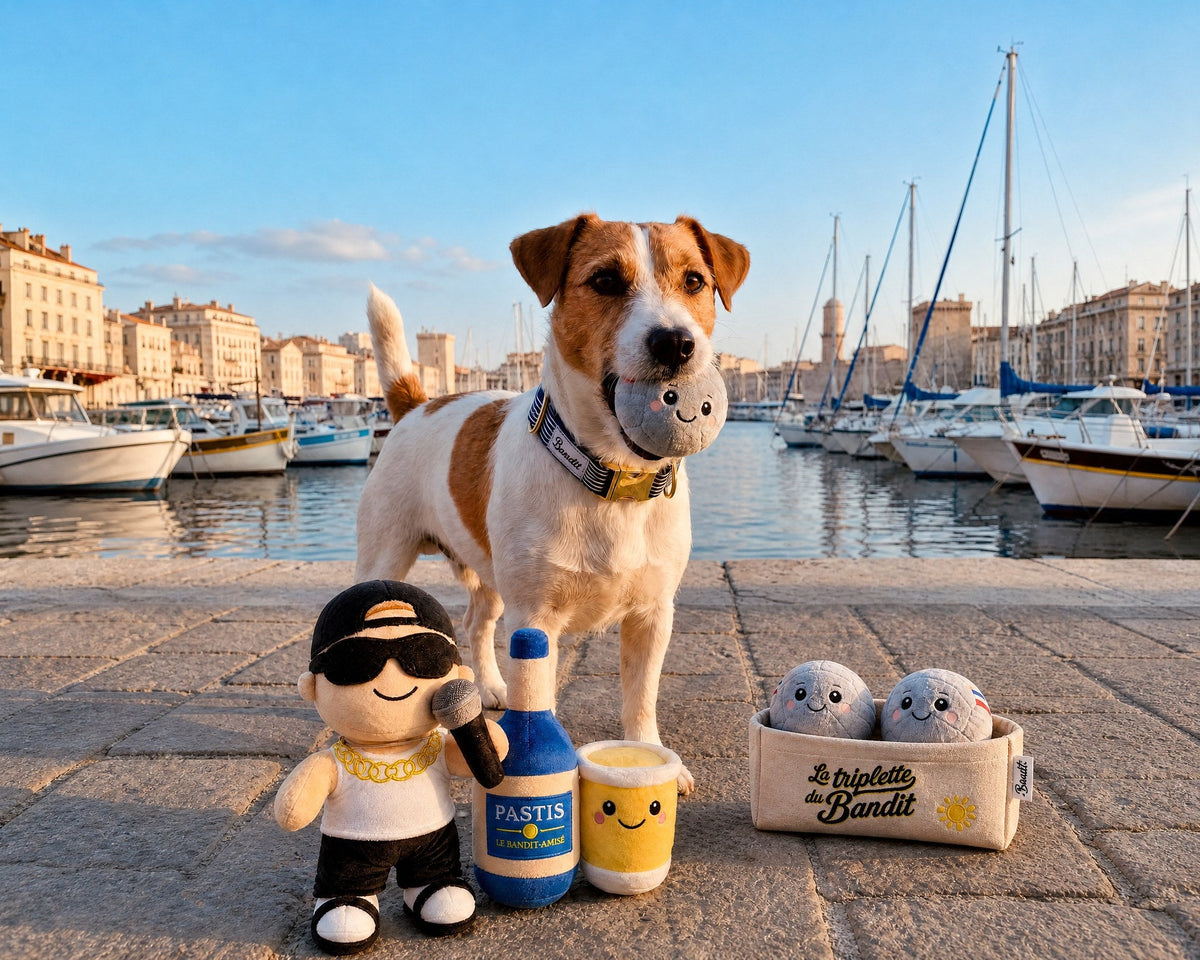 Jack russell tenant une boule de pétanque en peluche French Bandit sur le Vieux-Port de Marseille
