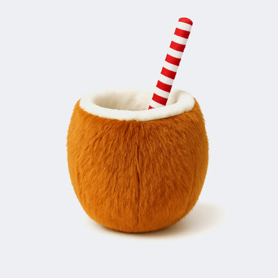 Jouet Coconut pour chien