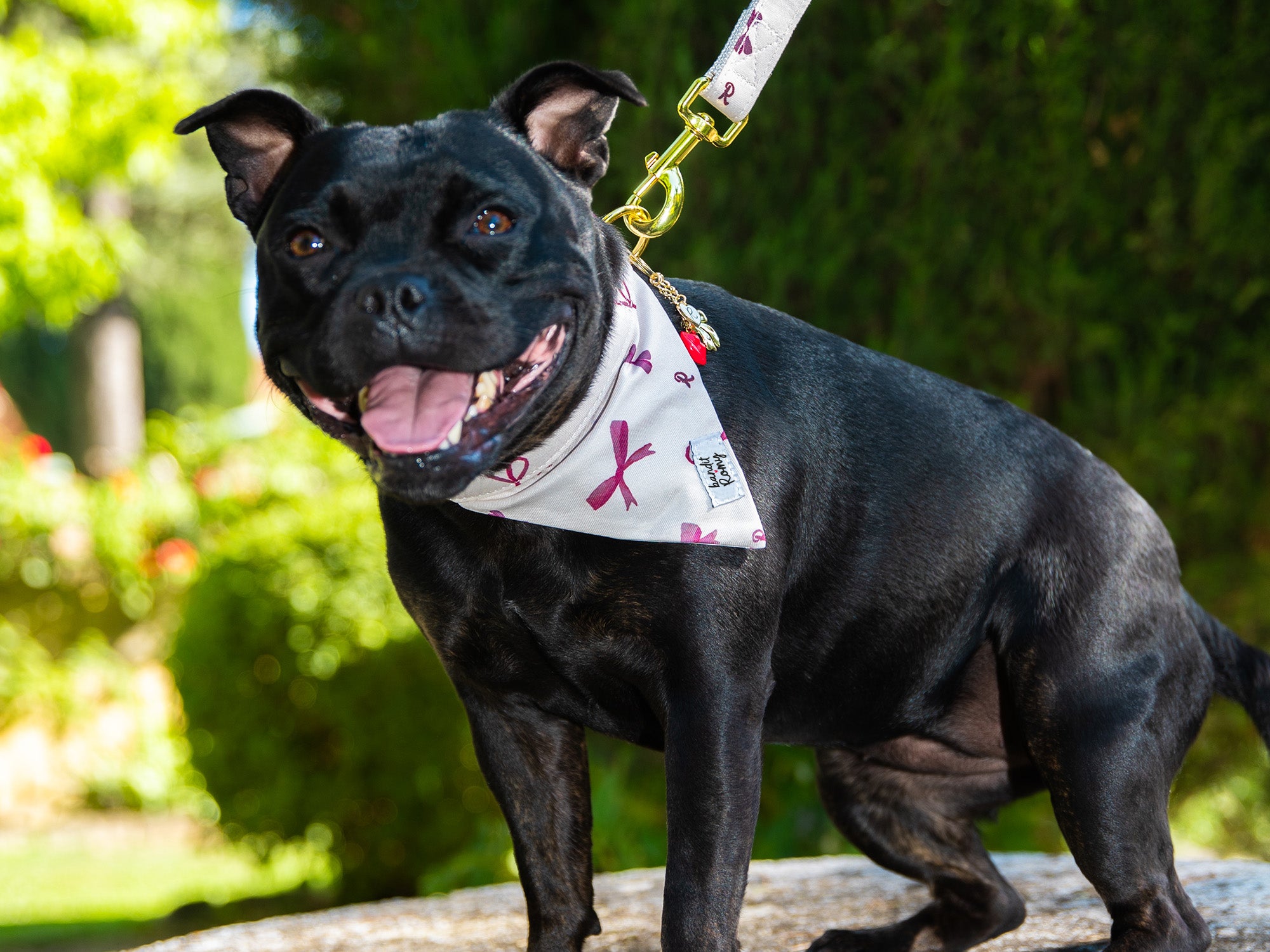 Bandana pour chien Bandit x Romy