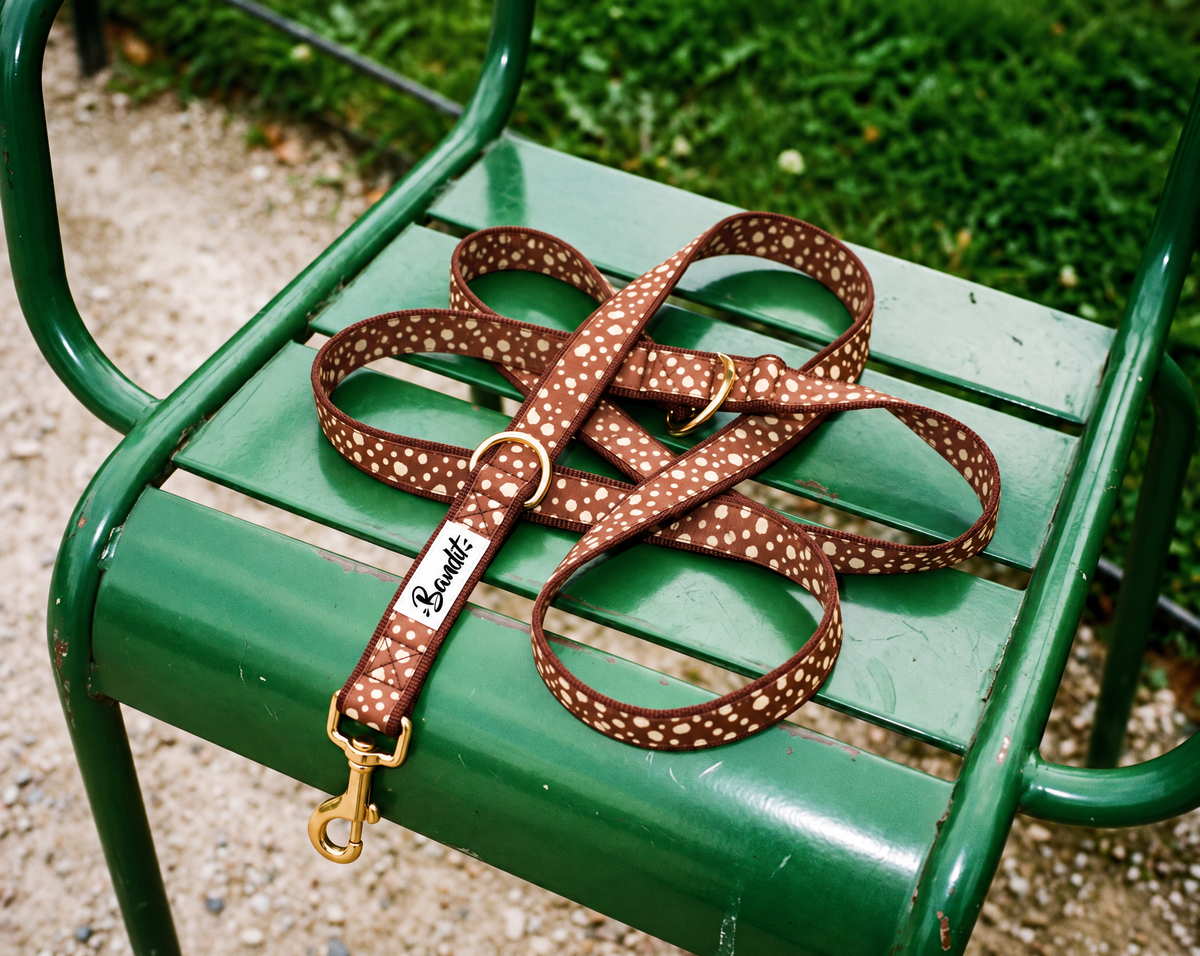 Laisse pour chien motif Faon (pois beige sur fond marron) French Bandit posée sur une chaise de jardin parisien