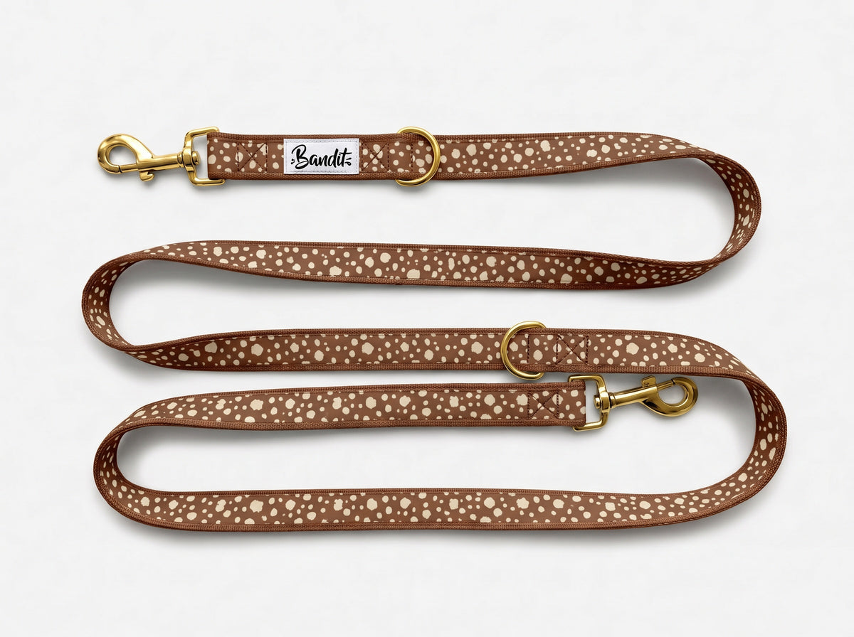 Laisse pour chien motif Faon (pois beige sur fond marron) French Bandit, vue produit sur fond blanc