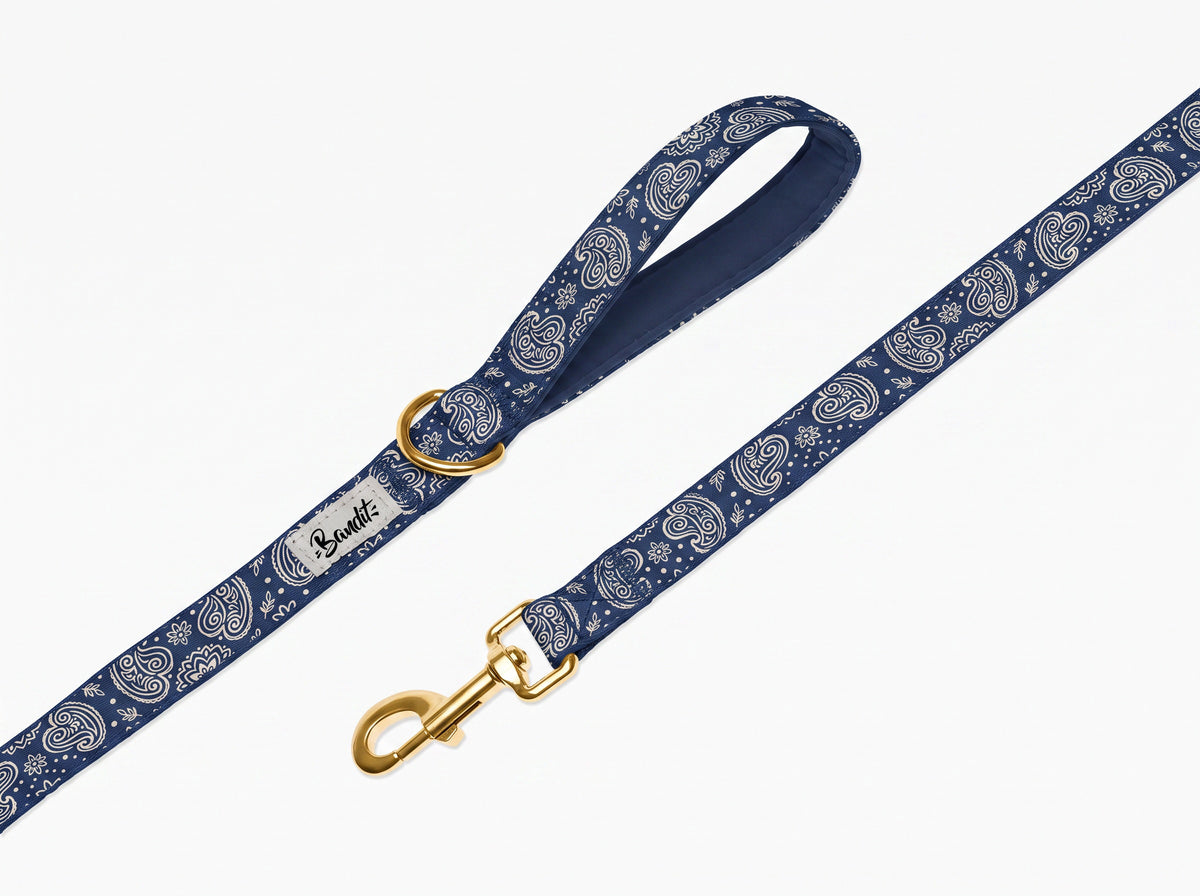Laisse pour chien motif Minuit (paisley bleu marine) Essentiel French Bandit, vue produit sur fond blanc