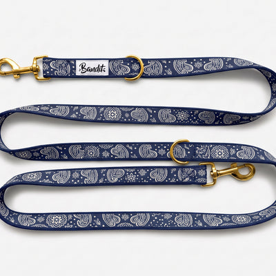 Laisse pour chien motif Minuit (paisley bleu marine) French Bandit, vue produit sur fond blanc