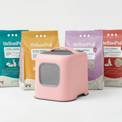 Pack Bac à litière Rotho + Litière DeBonPoil (x2)