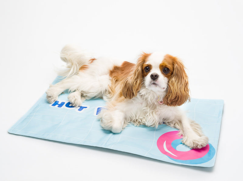 Tapis Rafraichissant Chien, Tapis en Gel Auto-refroidissant pour