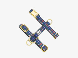 TARTAN LILAS