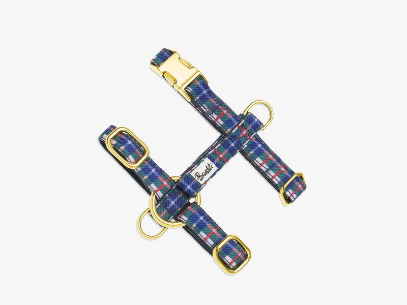 TARTAN LILAS