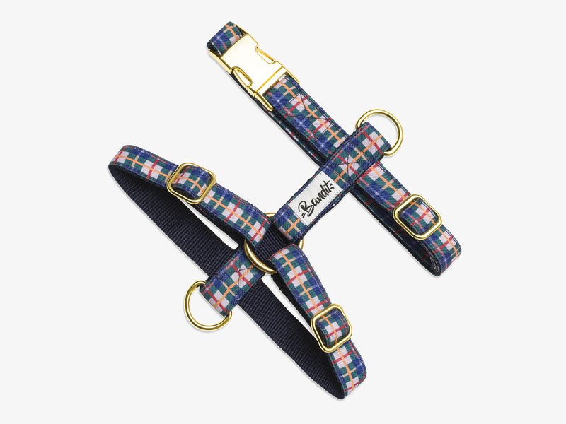 TARTAN LILAS